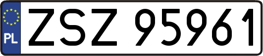 ZSZ95961