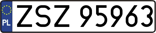 ZSZ95963