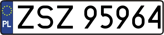 ZSZ95964