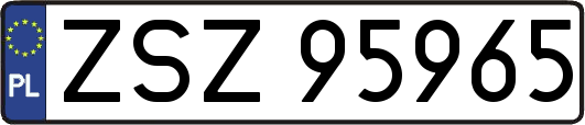 ZSZ95965