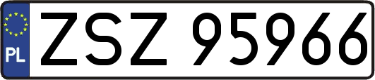 ZSZ95966