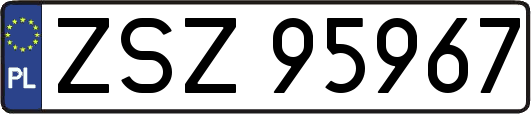 ZSZ95967