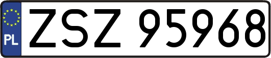 ZSZ95968