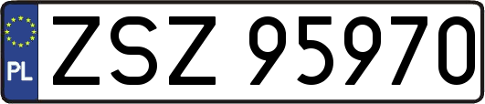 ZSZ95970