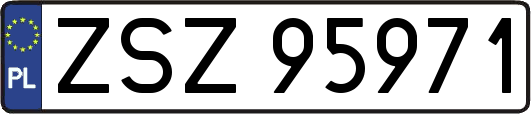 ZSZ95971
