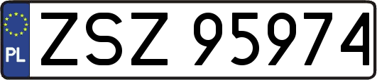 ZSZ95974