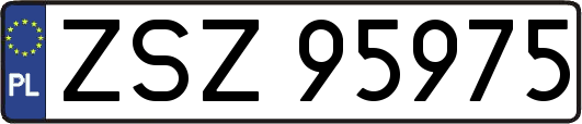 ZSZ95975