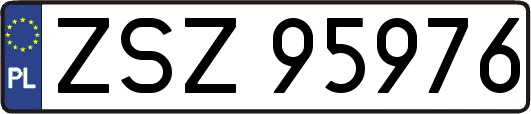 ZSZ95976