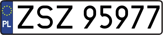 ZSZ95977