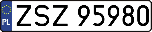 ZSZ95980