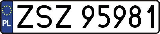 ZSZ95981
