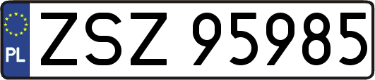 ZSZ95985