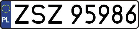 ZSZ95986