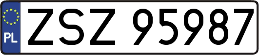 ZSZ95987