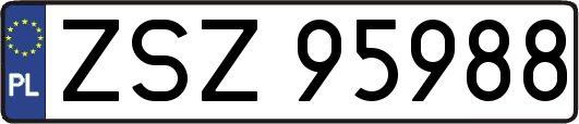 ZSZ95988