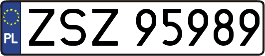 ZSZ95989