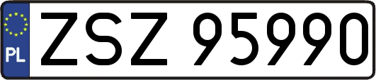 ZSZ95990