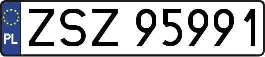 ZSZ95991