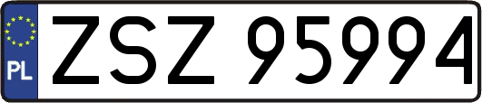 ZSZ95994