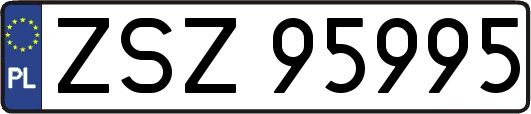 ZSZ95995