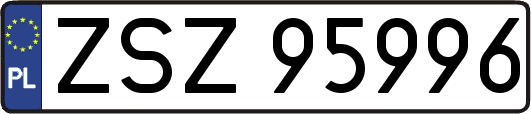 ZSZ95996