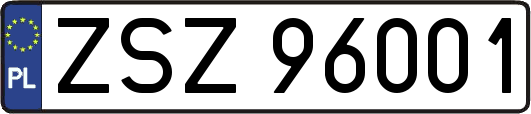 ZSZ96001