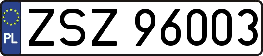 ZSZ96003