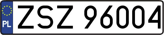 ZSZ96004