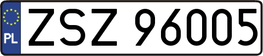 ZSZ96005