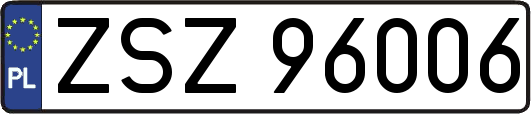 ZSZ96006
