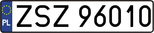 ZSZ96010