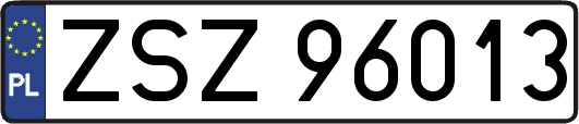 ZSZ96013