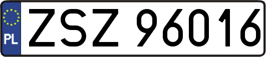 ZSZ96016