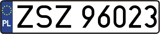 ZSZ96023