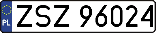 ZSZ96024