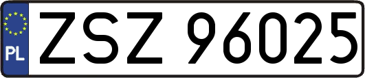 ZSZ96025
