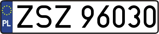 ZSZ96030