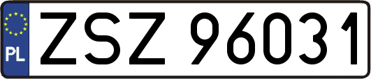 ZSZ96031