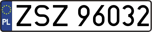 ZSZ96032