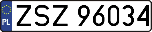 ZSZ96034