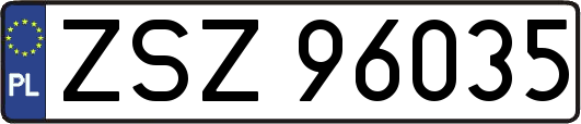 ZSZ96035