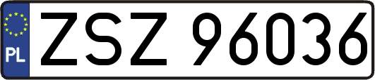 ZSZ96036
