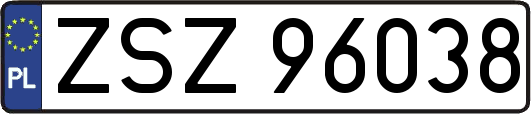 ZSZ96038