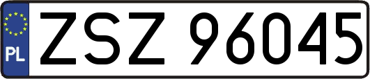 ZSZ96045