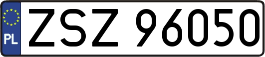 ZSZ96050