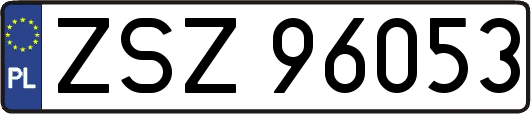 ZSZ96053