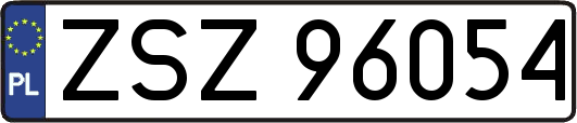 ZSZ96054