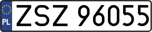 ZSZ96055