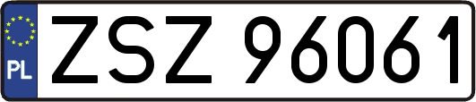ZSZ96061