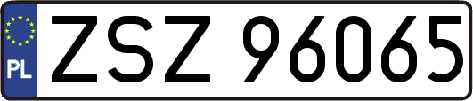 ZSZ96065